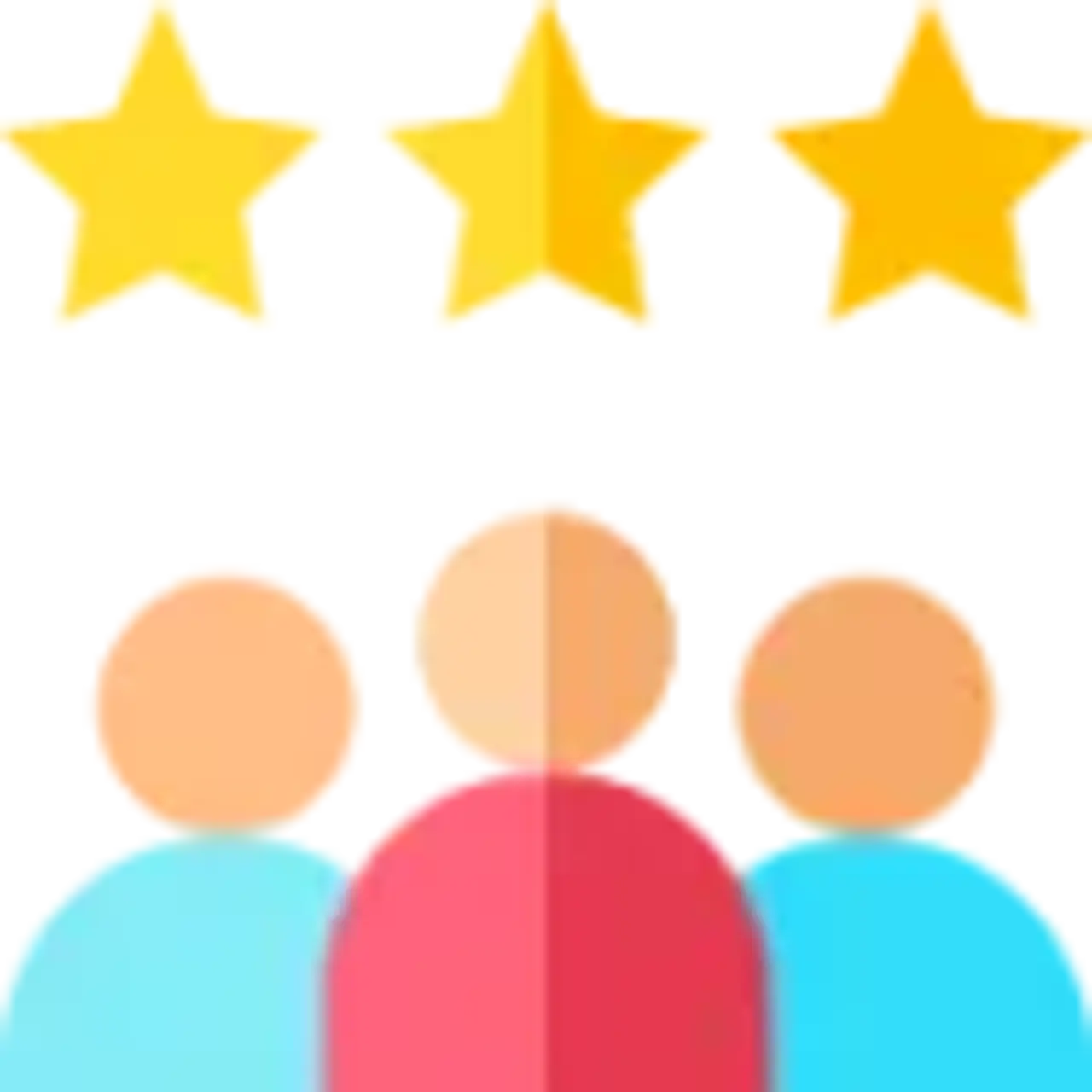 Customer Review